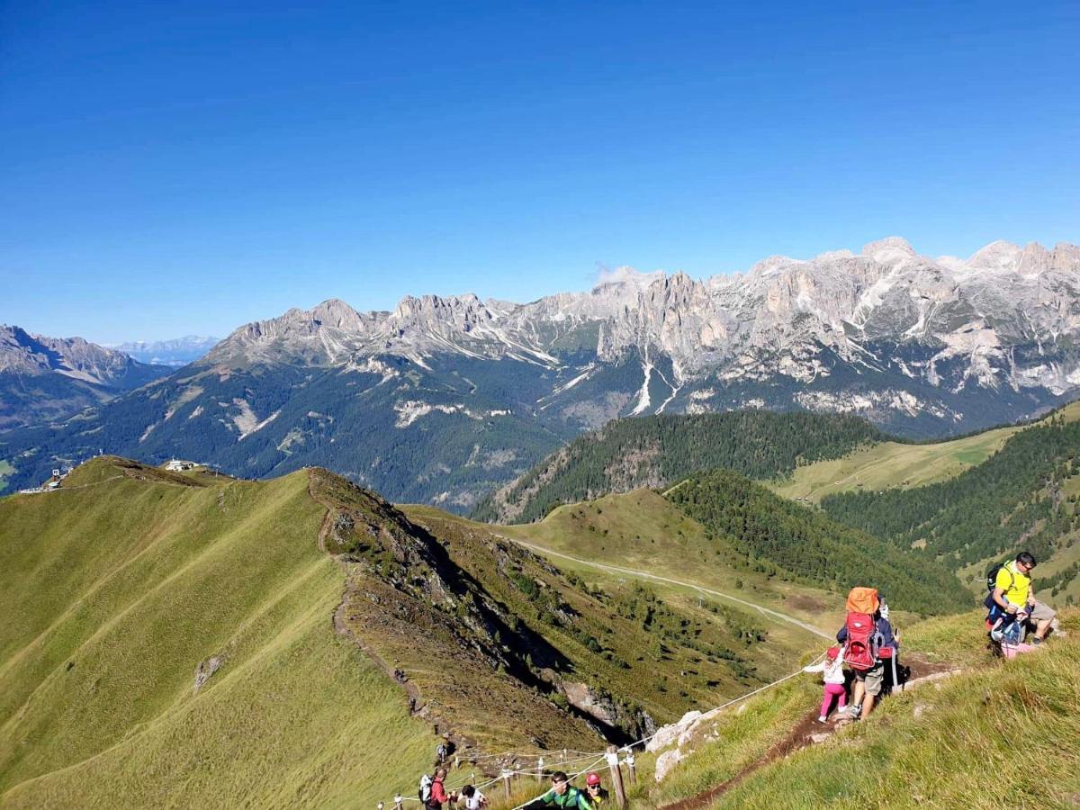 Family Hotel Andes - Only For Family Vigo di Fassa Buitenkant foto